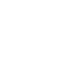 Customizable Role-Based Access